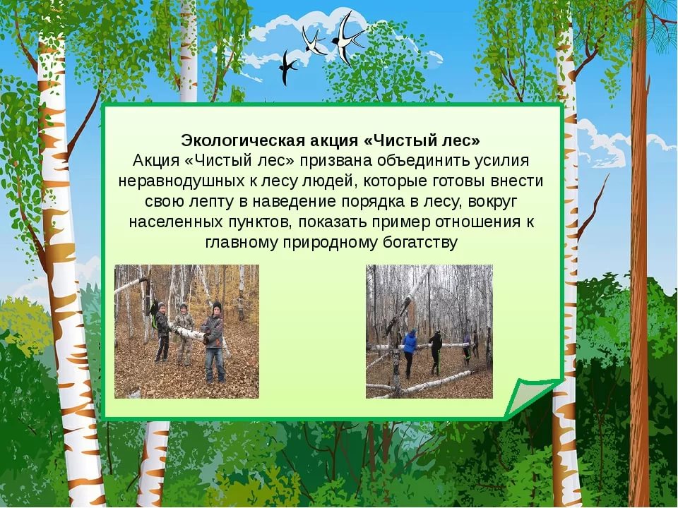 Акция чистый лес.jpeg Акция чистый лес.jpeg